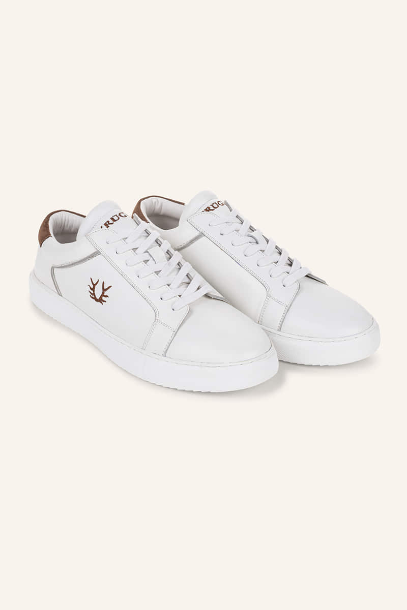 Sneaker Willy